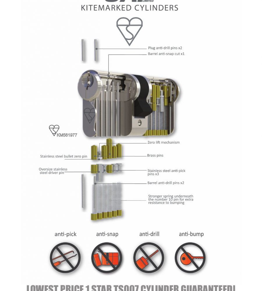 UAP Anti Snap 35/45 (80mm overall) Brass Euro Profile Cylinder lock-0