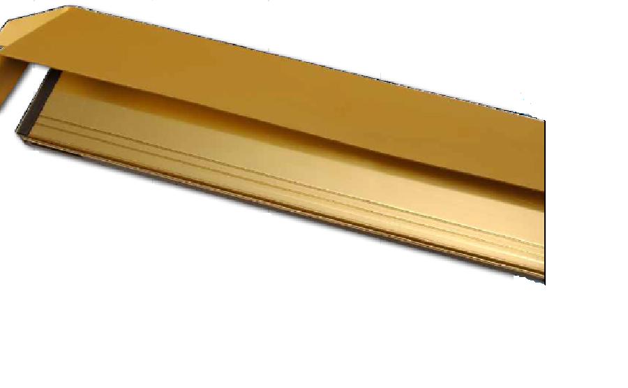Max6mum Letterplate Security Cowl - Gold-642